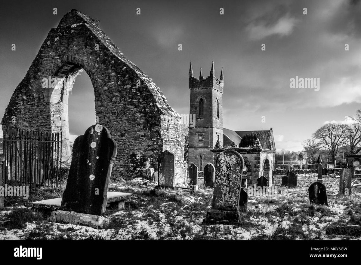 How Old Is Roronoa Zoro in Steins Gate?